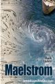 103596 Maelstrom: A Novel